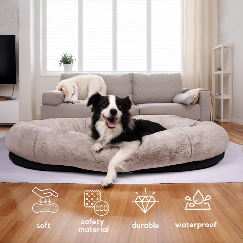 Lit pour chien humain pour adultes avec couvertures et oreillers, Brun