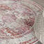 Oldham Oriental Area Rug-55795965