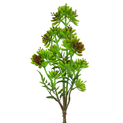 Plante grasse artificielle 22 po Lotus