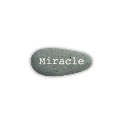 Sculpture miracle Bloom