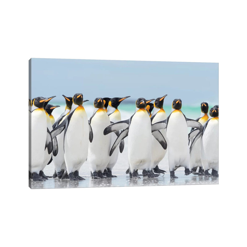King Penguin On Falkland Islands. by Martin Zwick - Wrapped Canvas Print, 66.04 cm H x 45.72 cm W x 1.91 cm D