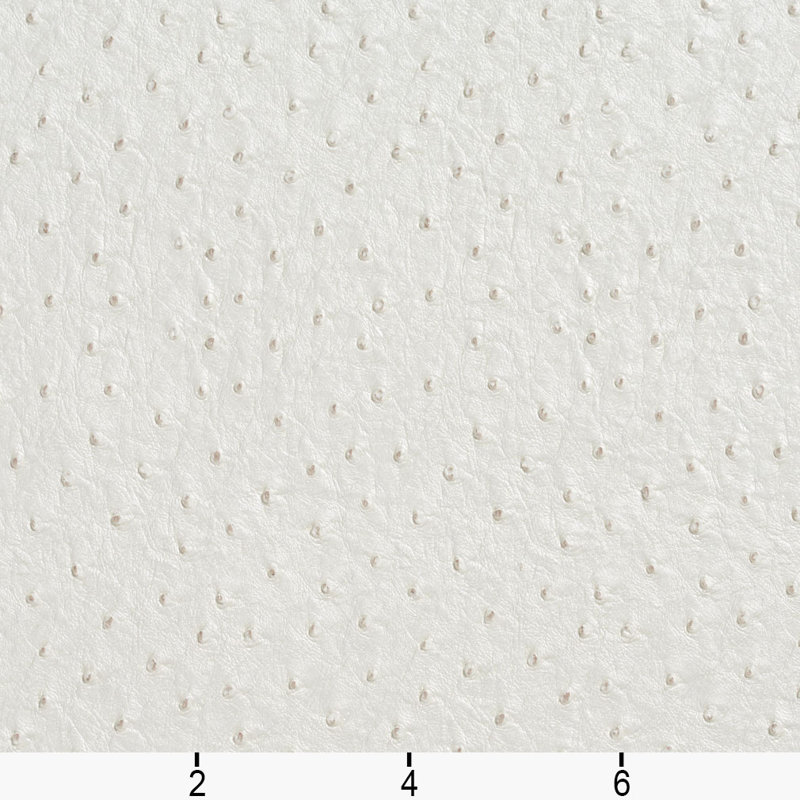 Autruche, Blanc