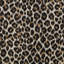 Naya Bagira Spot Fabric