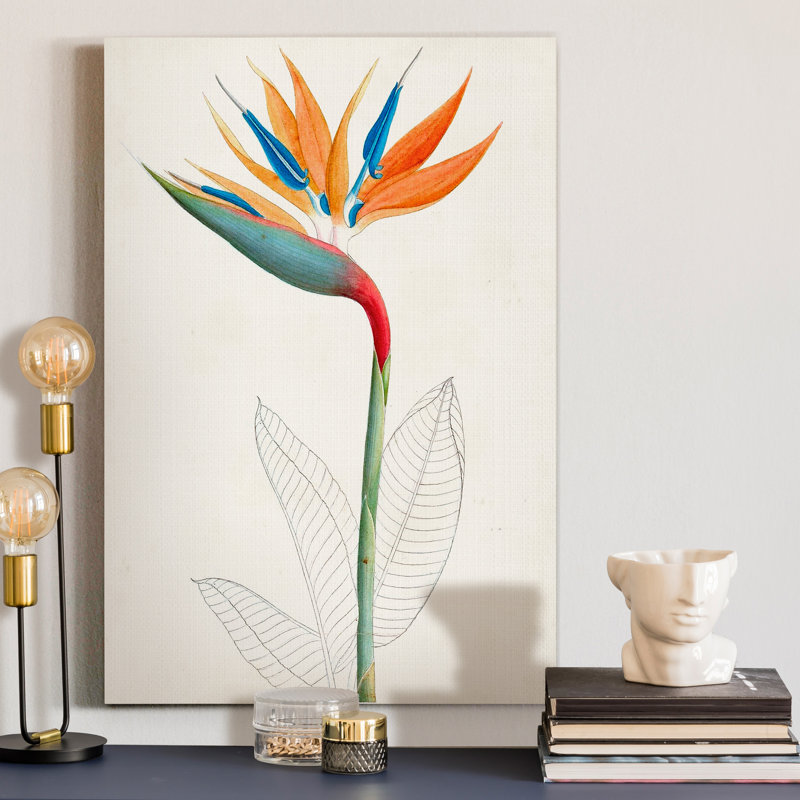 Reproduction d’art sur toile tendue « Botanical of the tropiques IV », H 48 po x l 32 po x P 1 po