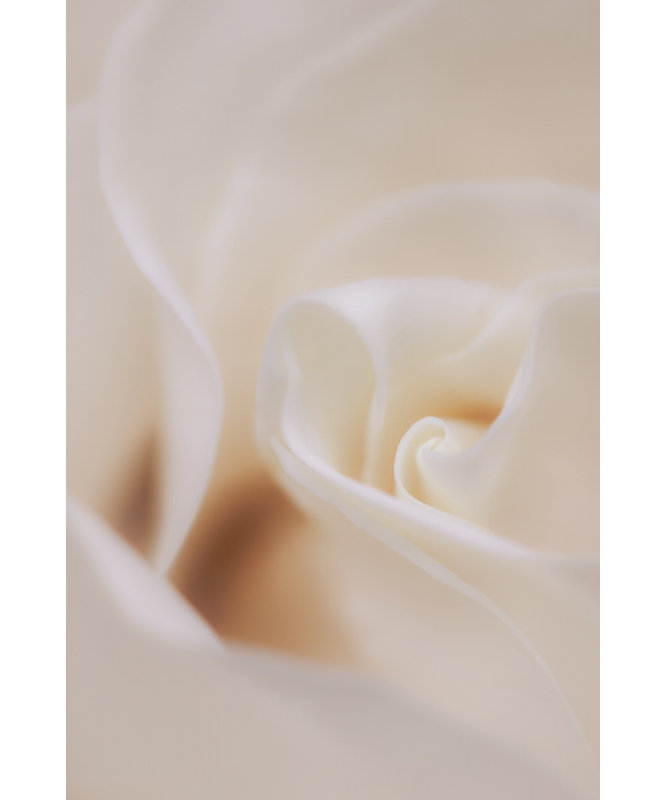 Wrapped Canvas Print, 50.8 cm H x 76.2 cm W