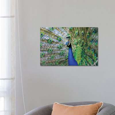Beauty III 1 Piece Wrapped Canvas Wall Art