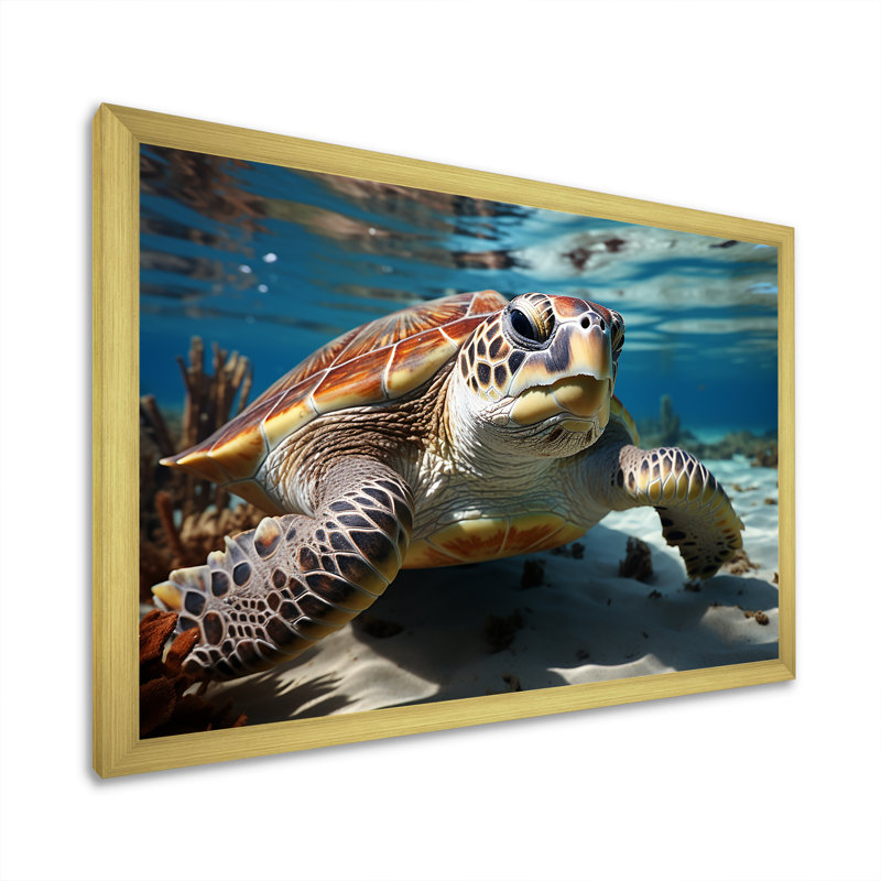 Minimalist Lagoon Turtle sur toile, H 12 po x l 20 po x P 1 po, Cadre doré simple