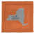 Orange/Gray
