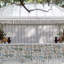 Anshun Fabric