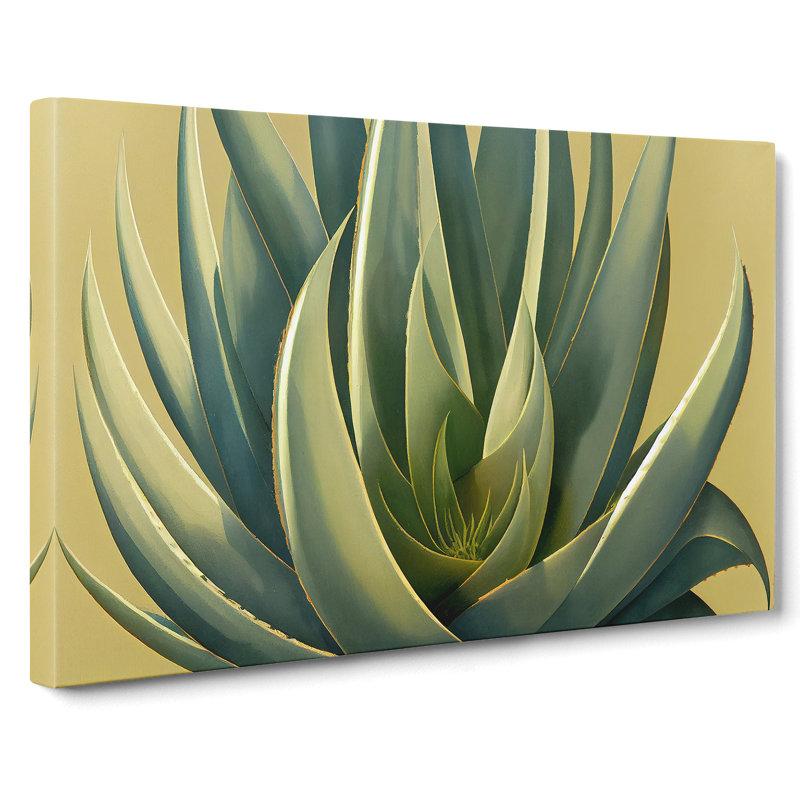 Lush Aloe Vera Plant - Wrapped Canvas, 35cm H x 50cm W x 3cm D
