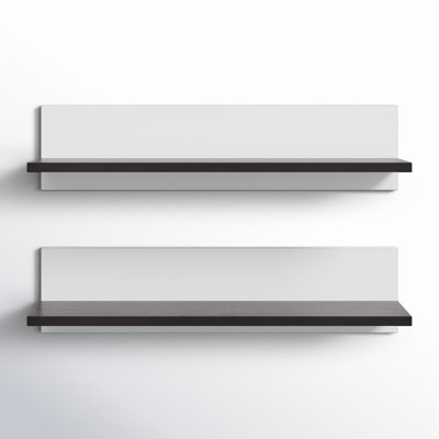 Tilden Picture Ledge Wall Shelf