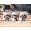 Mug-2029818116