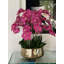 Pot à tiges d'orchidée Roberi-286301786-293210173