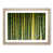 Oak Framed selected