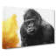 Silverback Gorilla With Golden Flash - Wrapped Canvas-55318350