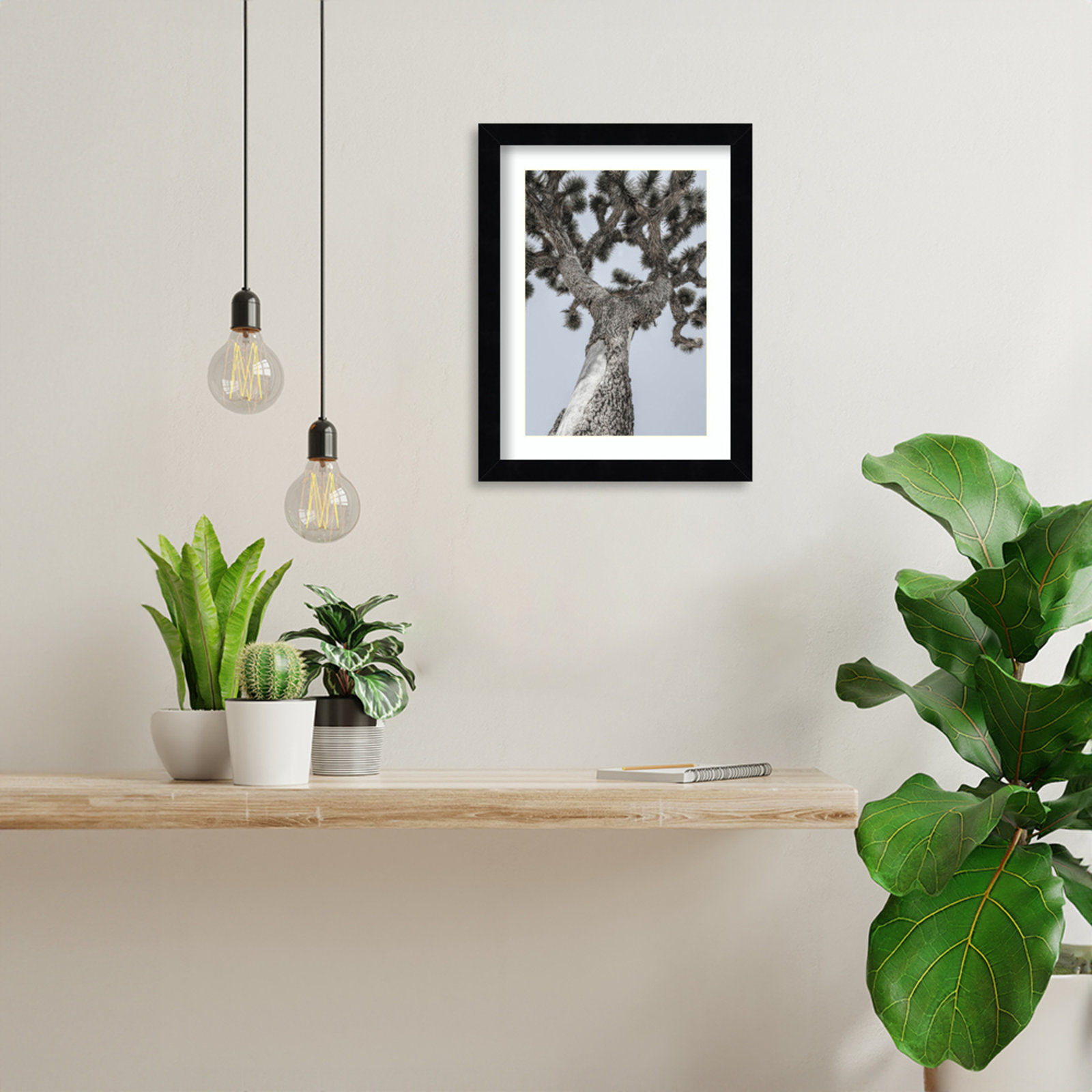 Daisey "Joshua" Print by Shot by Clint, Black , 13" H x 10" W