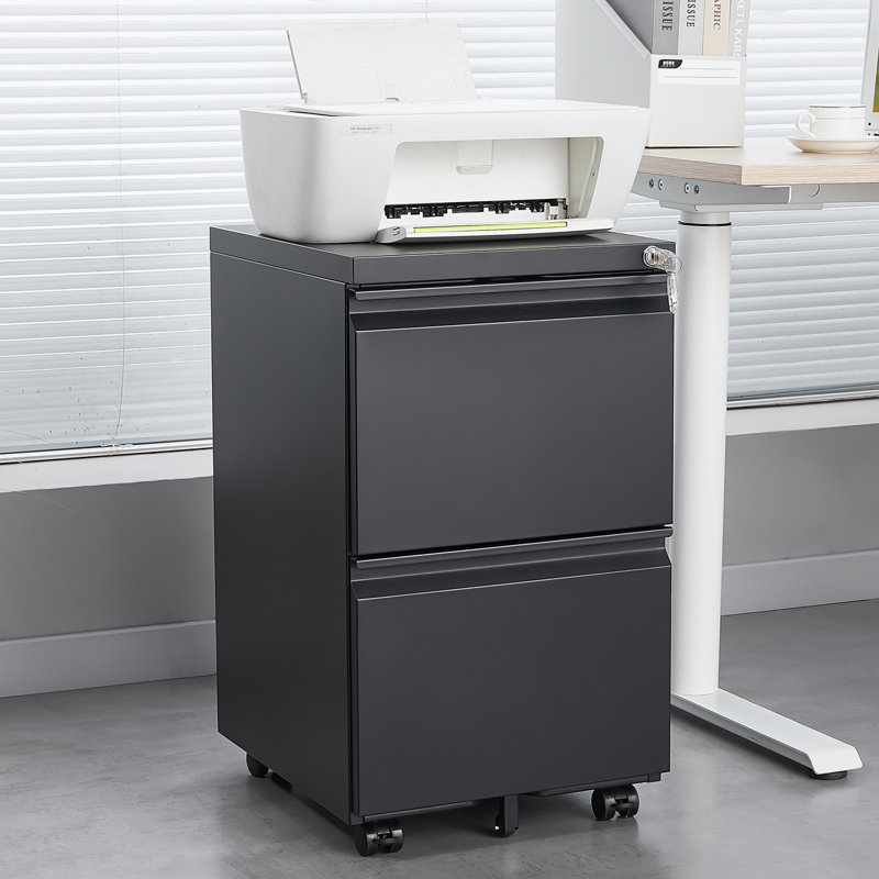 Classeur de rangement de 15,35 po Mathusan, Noir