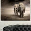 Paire d'éléphants, mouvement - impression-35105254-35105263