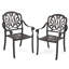 Astoria Grand 2pcs Patio Cast Aluminum Dining Chairs Armrests Outdoor Stackable Bronze