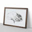 Sleeping Cat by Jean Bernard - Picture Frame Drawing Print-55619441-55619444