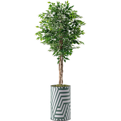 66'' Faux Ficus Tree in Planter