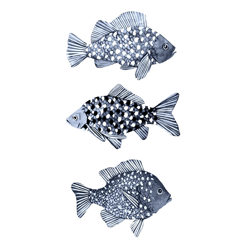 Poisson bleu I, H 36 po x l 24 po x P 1,25 po