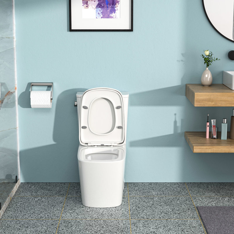 Toilette en céramique élégante avec chasse d'eau douce et économique - siège à fermeture douce, chasse d'eau à siphon, faible absorption d'eau, expérience de chasse d'eau douce en une pièce Thrifty