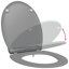 Anthracite Plastic Standard Adjustable Armrests Toilet Seat-1215608313
