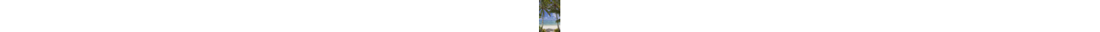 Pair Of Palm Trees by Lilly3 - Wrapped Canvas Print-1981455720