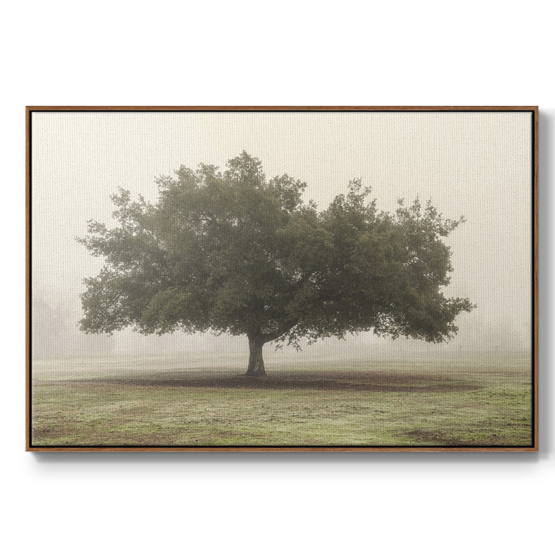 Arbres dans le brouillard II, Toile avec cadre noyer, H 27 po x l 41 po x P 2 po
