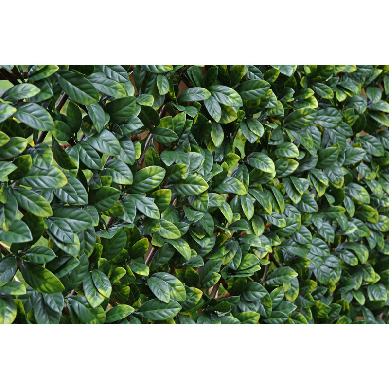 100cm Faux Foliage Hedge
