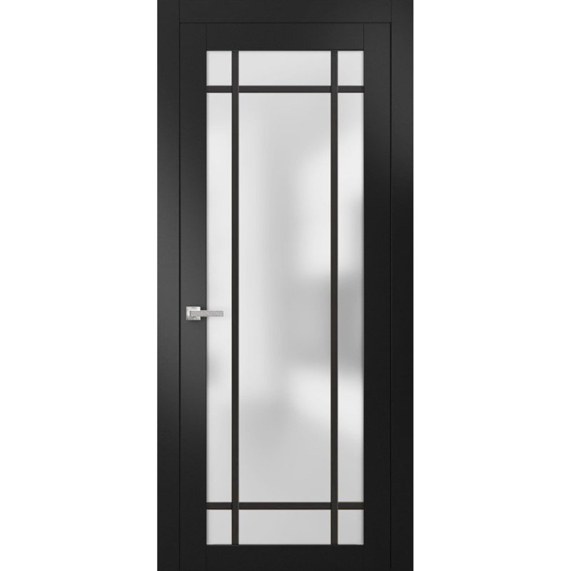 Porte française solide unie | Verre givré Planum 2112 | Poignée simple à panneau régulier | Salle de bain, Noir mat