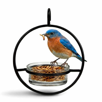Diedra Hanging Tray Bird Feeder