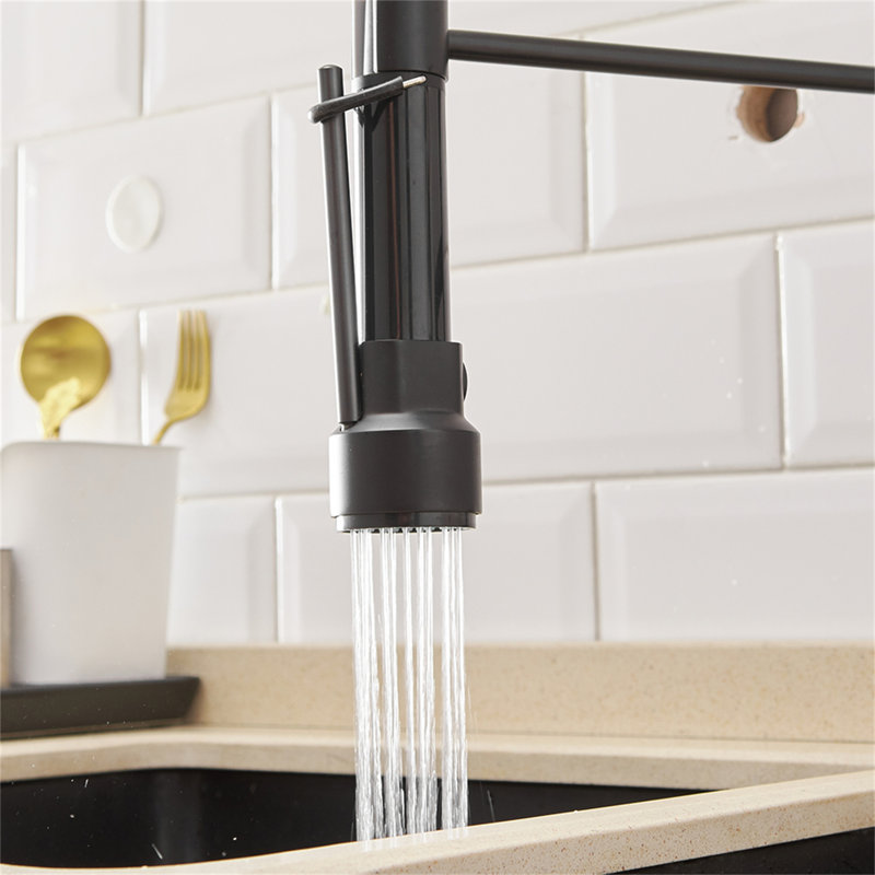 Robinet de cuisine avec douchette rétractable, robinet d'évier de cuisine à poignée simple, Noir / argenté