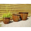 Norman Planter-14486368