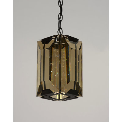 Schaeffer 1 - Light Unique/Statement Pendant