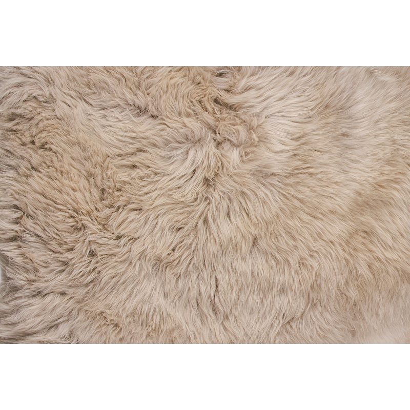 Tapis taupe en peau de mouton Chatterton