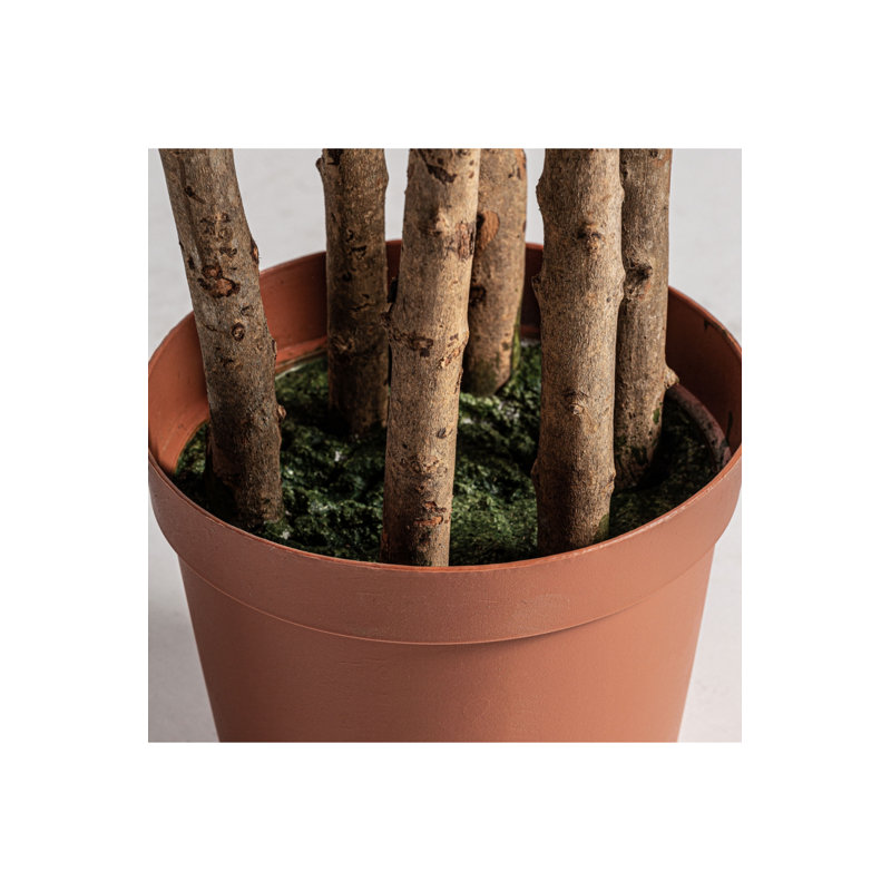 Helecho Faux Plant