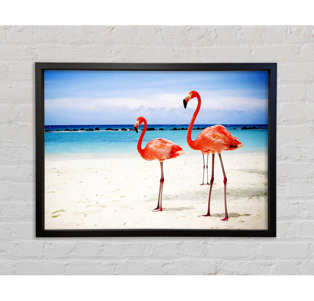 Flamingo Paradise - Einzelner Bilderrahmen Kunstdrucke auf Leinwand