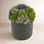 Faux Succulent Plant in Fiberstone Planter-2044098633-2044098632-2065890681