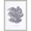 Cultivated Antiquity 6 Print-1422765704