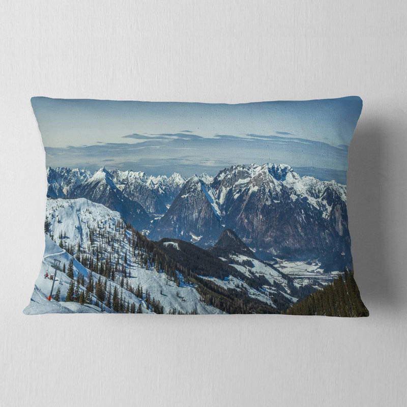 Coussin lombaire Schafer