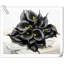 Arrangement Lillies-623490148-623490070