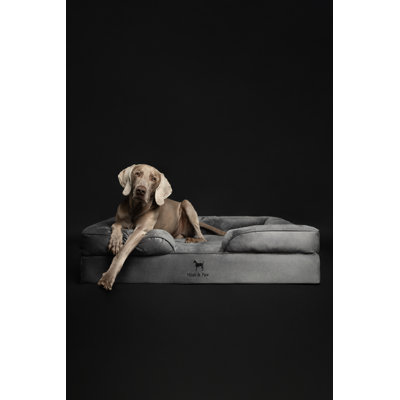 Noah & Paw Giant Dog Bed XXL,  Orthopedic Dog Beds, Eggshell Memory Foam Infused with Cooling Gel, Inner Cover, Waterproof, Machine Washable (Velvet Sofa Collection)