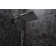 hansgrohe Pulsify E Showerhead 260 1-Jet, 2.5 GPM