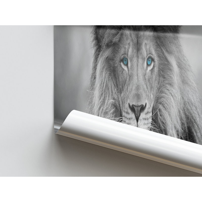 Print on Canvas, 20 cm H x 30 cm W, White Floater Framed