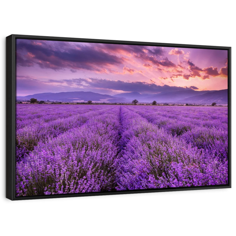 «Lush Lavender Field», reproduction sur toile, H 25 po x l 37 po
