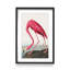 Coastal Retreat Pink Flamingo II From Birds Of America (1827)-1490682228