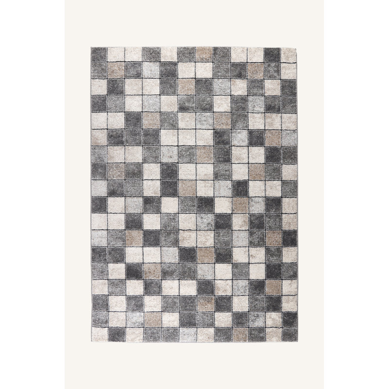 Lasedrick Chequered Area Rug, Rectangle 133 x 190cm