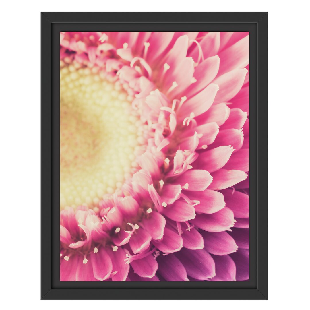 Gerahmtes Wandbild Wunderschöne Gerbera Blüte